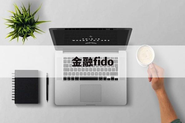 金融fido(金融fi是什么意思)