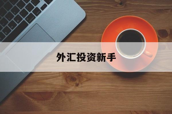 外汇投资新手(外汇投资入门与实战精解)