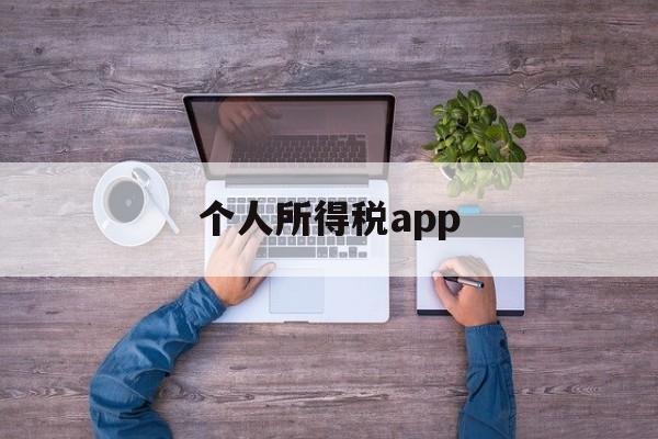 个人所得税app(个人所得税app下载安装)