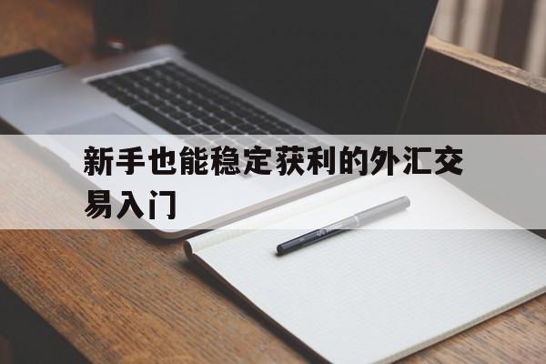 关于新手也能稳定获利的外汇交易入门的信息