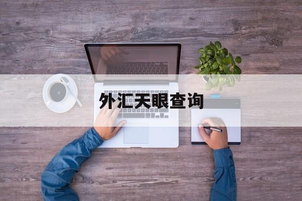 外汇天眼查询(外汇天眼查询外汇平台官网)